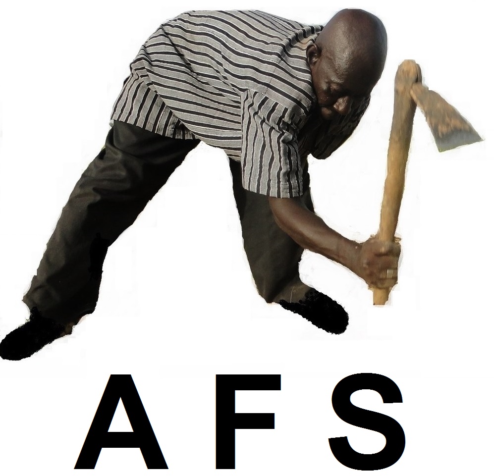 Logo AFS Sigle essai 2 170 ko